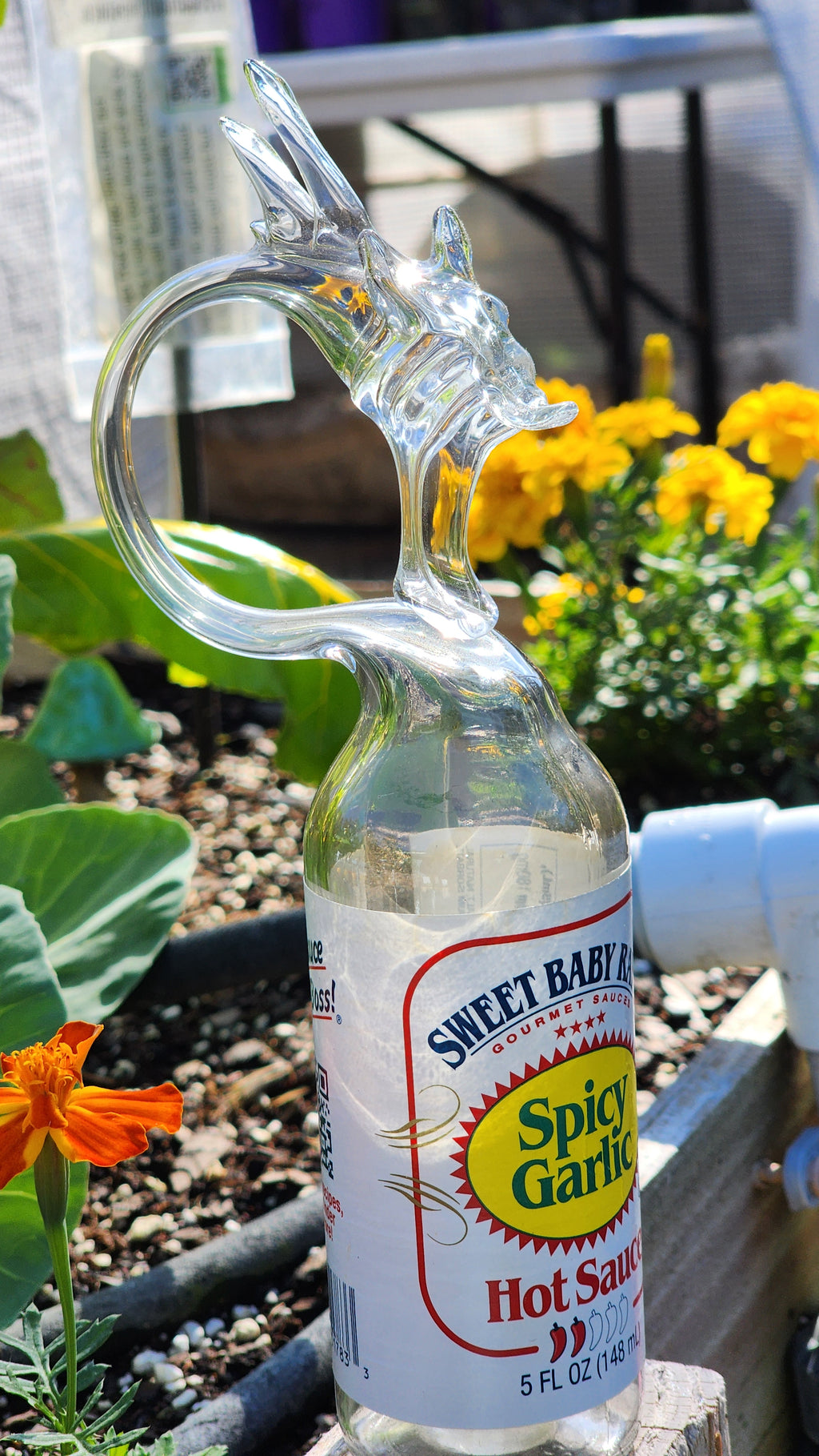 SWEET BABY RAYS
