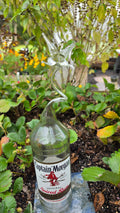 Captain Morgan Lily Bottle Sculpture – Handcrafted Floral Glass Art | Essenar