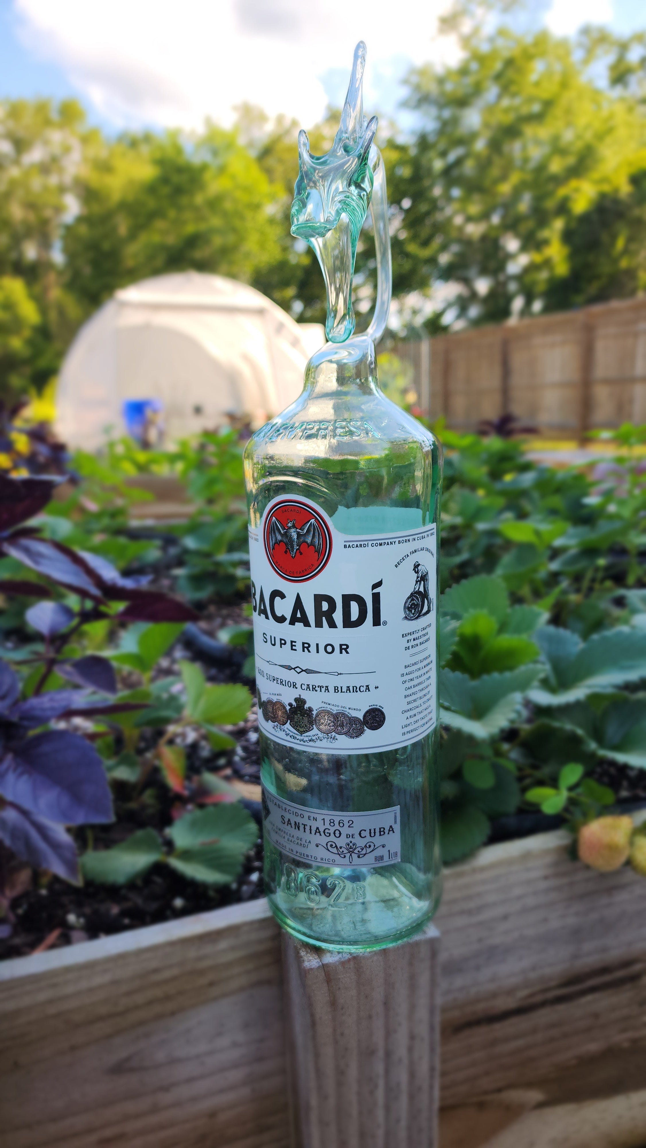 BACARDI RUM DRAGON