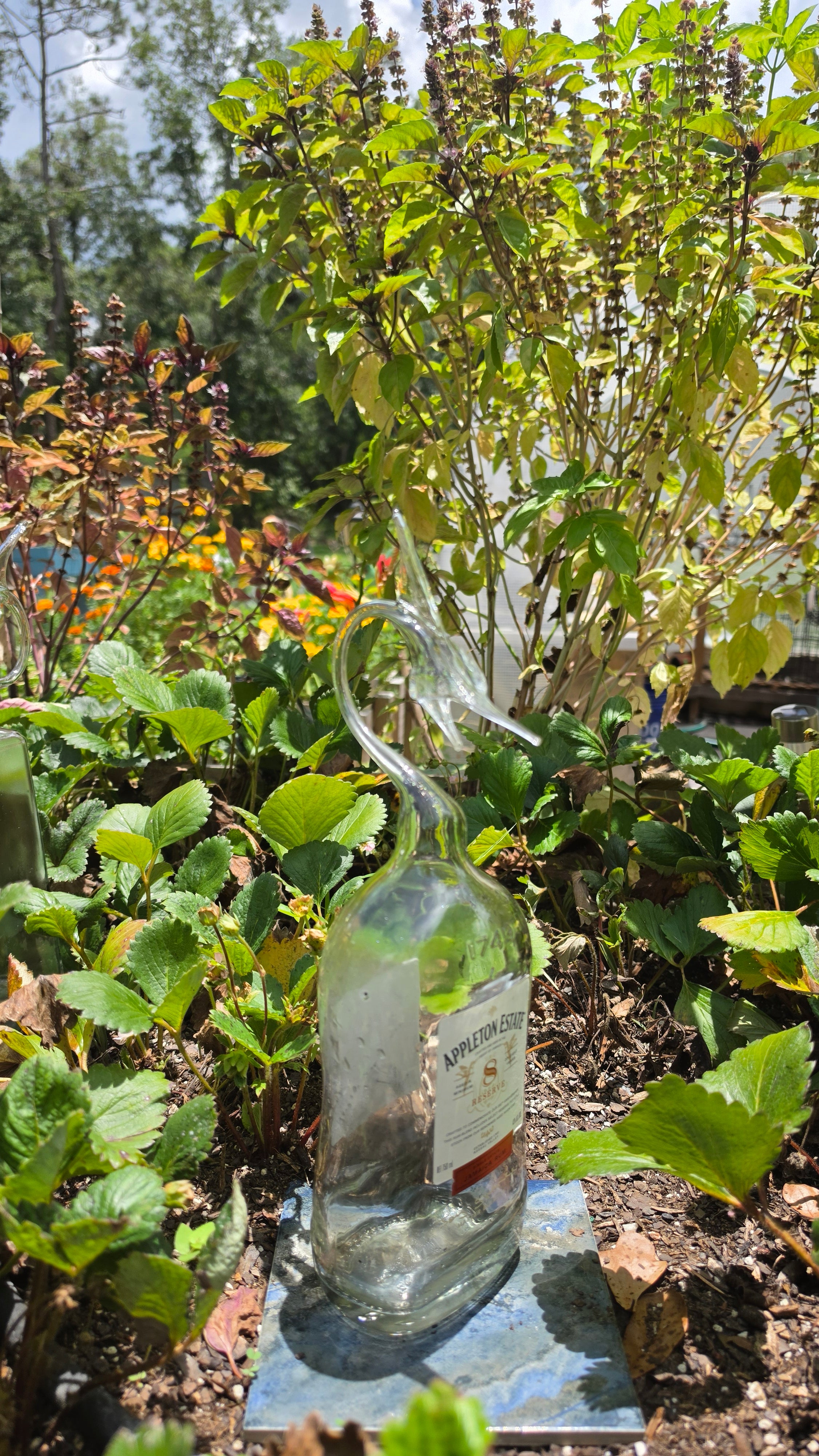 Appleton Rum Marlin Bottle Sculpture – Handcrafted Glass Art | Essenar