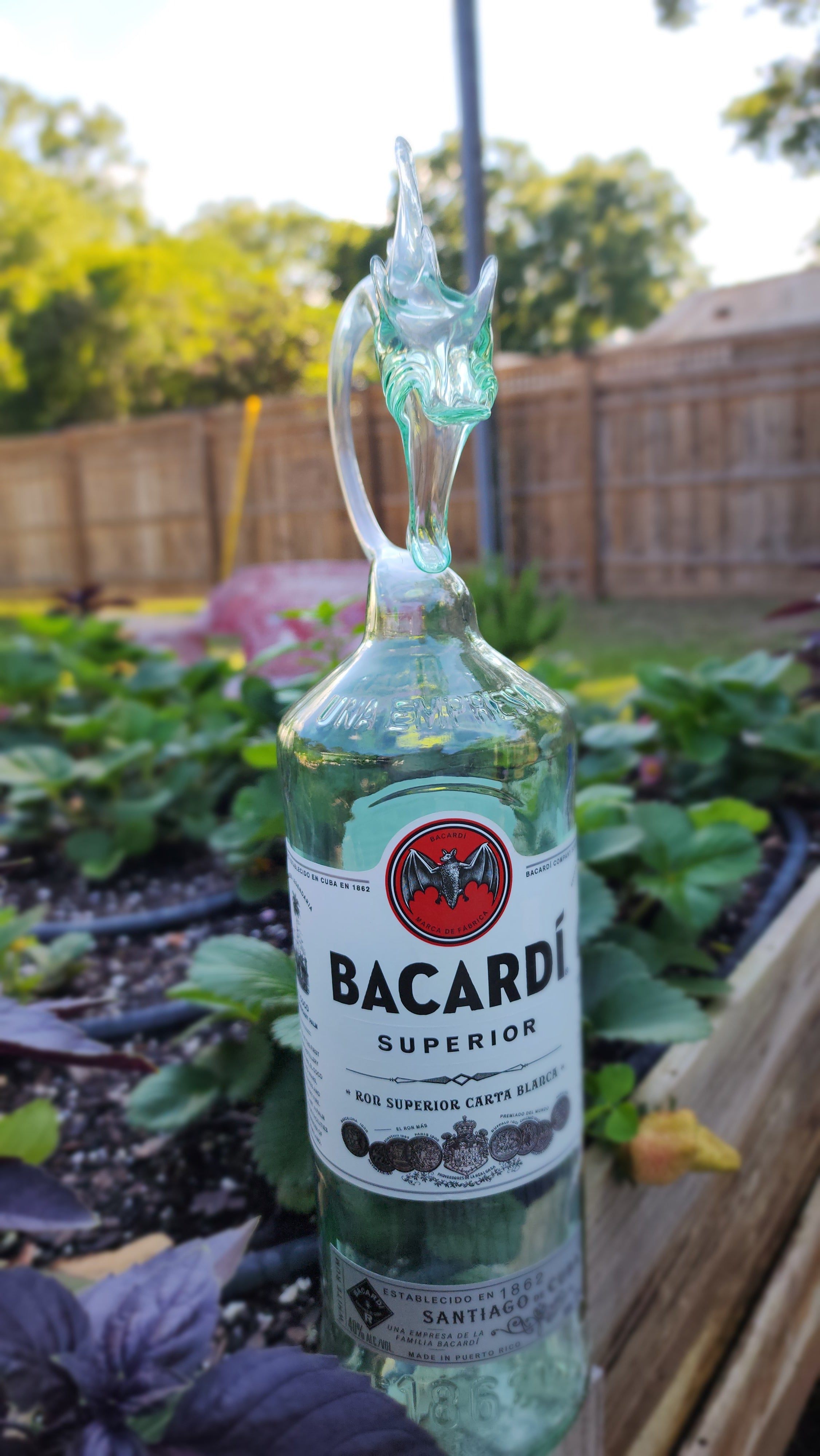 BACARDI RUM DRAGON